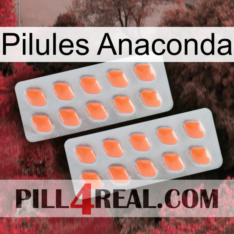 Anaconda Pills 27